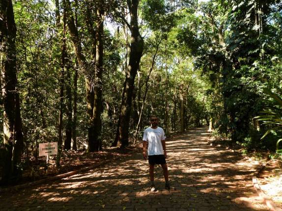 Caminhando no Parque do Ingá, em Maringá, no norte do Paraná